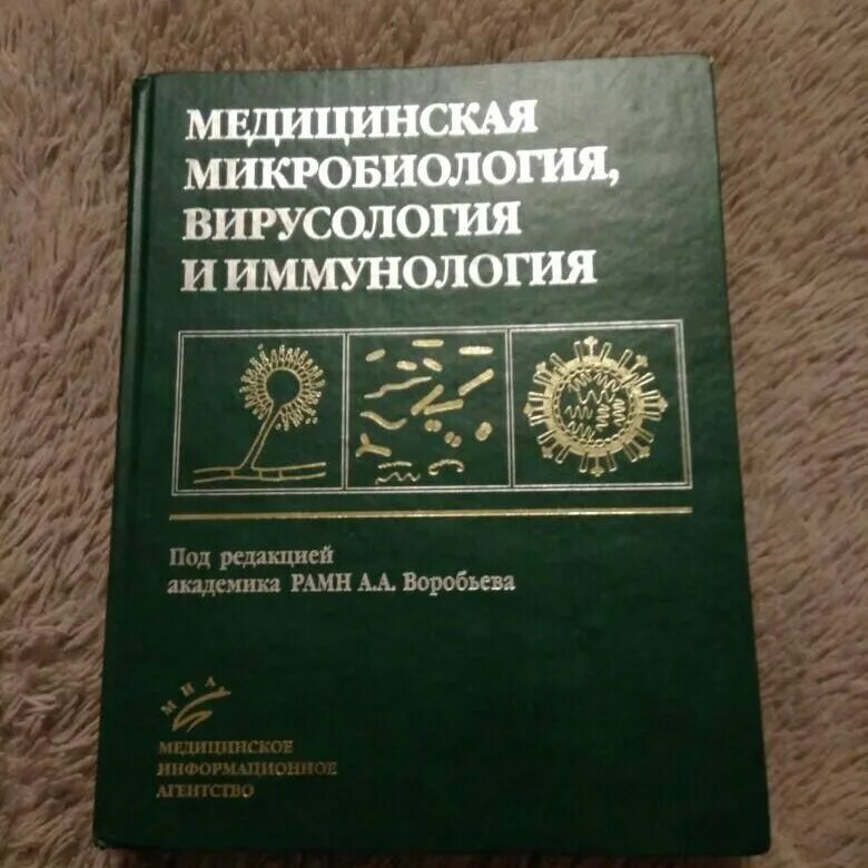 Медицинская микробиология воробьев – Telegraph
