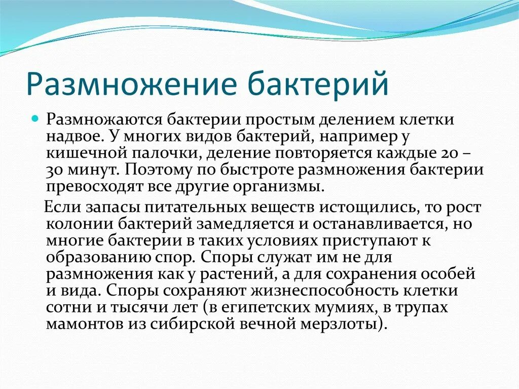 Размножение бактерий примеры. Размножение бактерий. Ка кразмнажаются бактерии. Размножение микроорганизмов. Как размножаются бактерии.