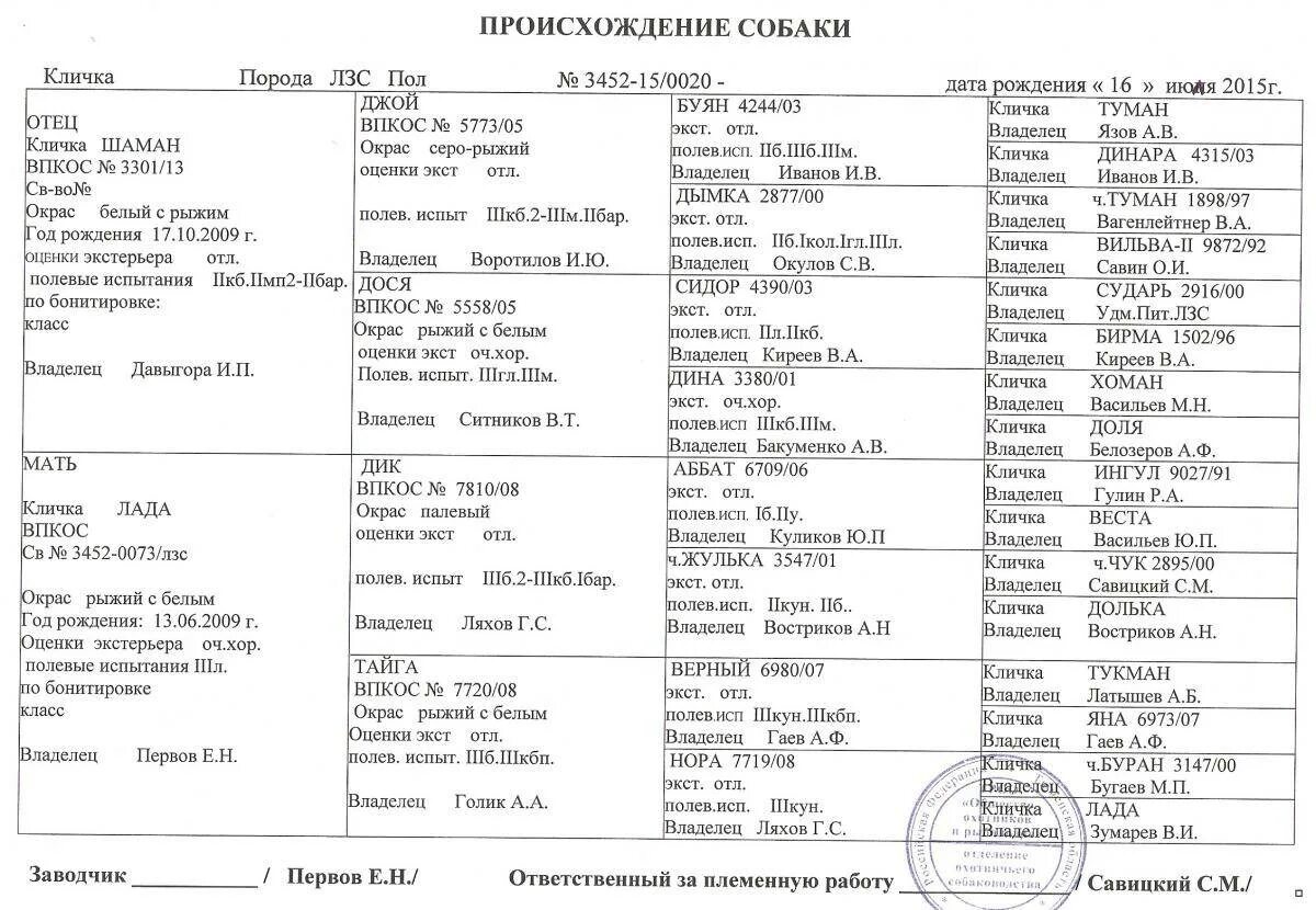 Клички для собак. Кличка для щенка. Имена для собак девочек. Красивые имена для собак девочек. Клички со значением девочки