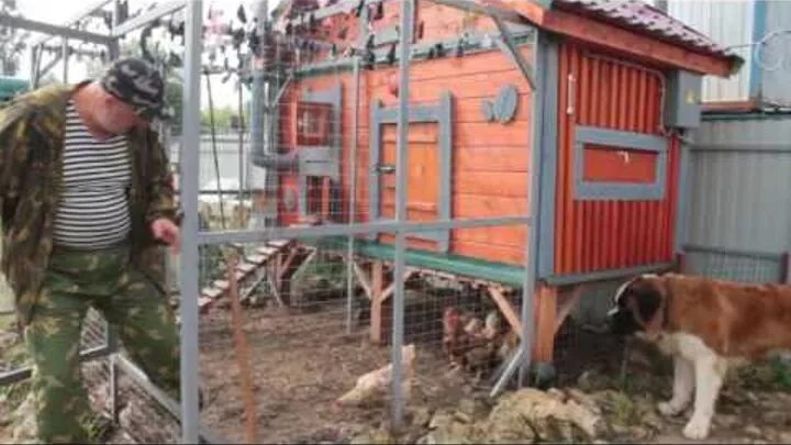 Дед чтп куры. Дед чтп советы по строительству курятника. Дед чтп куры. Дед чтп куры. Чтп.