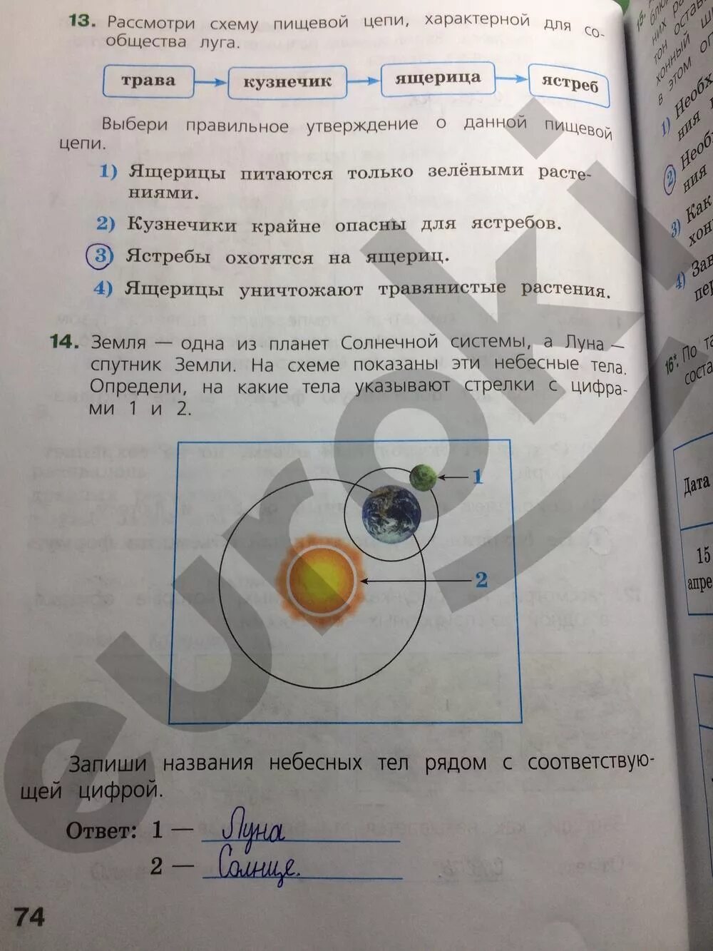 Впр по окружающему волкова ответы. Тетрадь ВПР 4 класс окружающий мир ответы Демидова. Готовые домашние задания по ВПР 4 класс. Тетрадь ВПР 4 класс окружающий мир. Домашнее задание по окружающему миру ВПР.