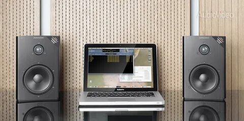 Dynaudio dm