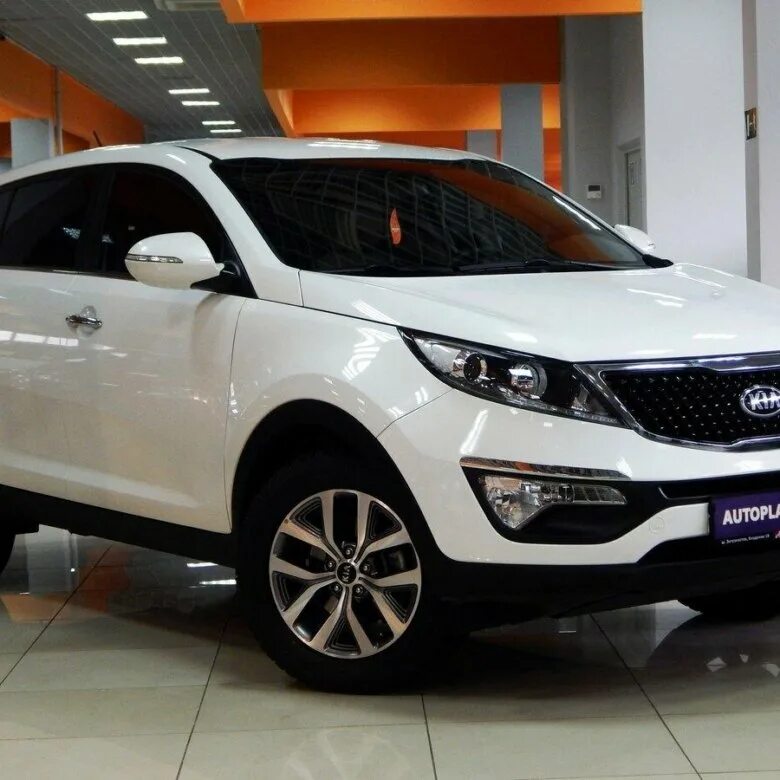 Kia Sportage 2015. Кия Спортейдж 2015. Киа Спортейдж 2015 года. Kia Sportage 2015 белый.