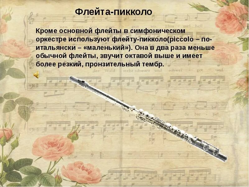 Класс флейта. Сообщение о флейте Пикколо. Флейта Пикколо информация. Проект про флейту. Флейта Пикколо в оркестре.