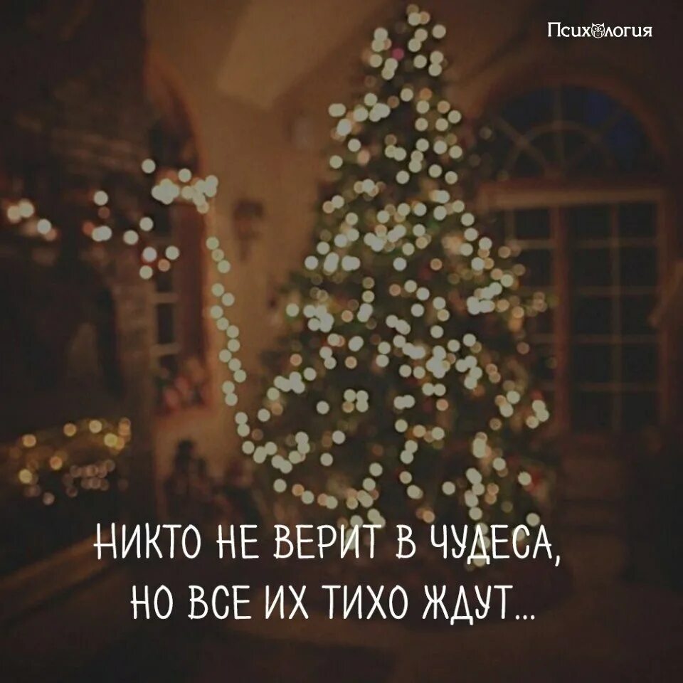 В ожидании нового года цитаты. Верьте в чудеса. Верю в чудеса. Фразы про новогоднее чудо. Почему ждем новый год