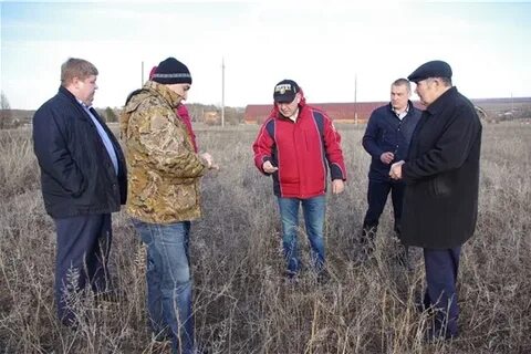 Д зама