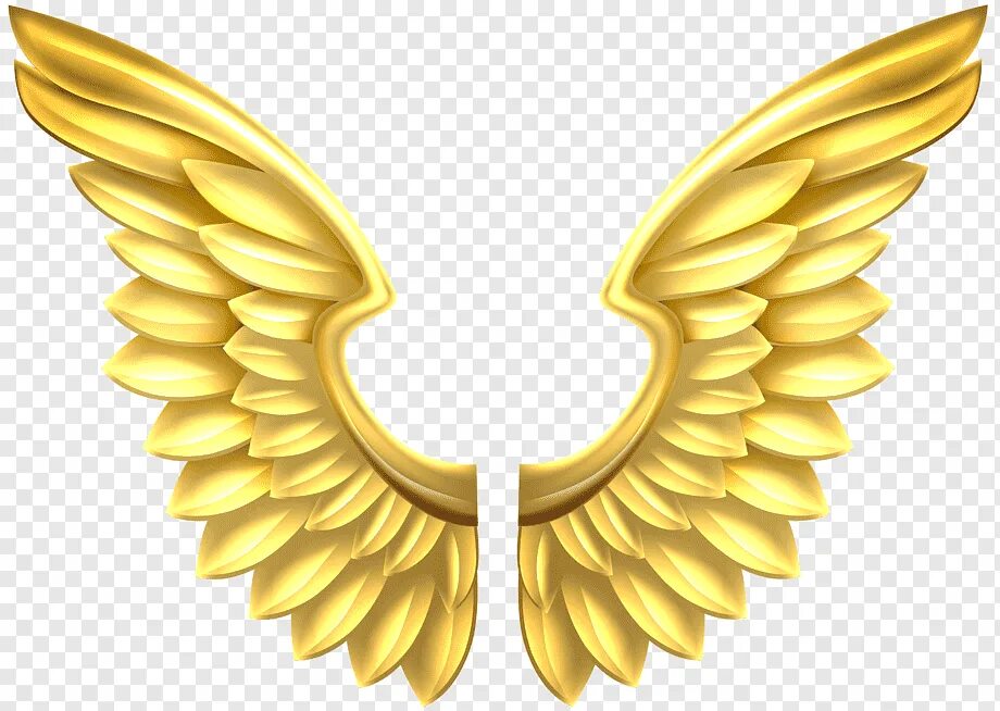 Золотые Крылья. Золотые Крылья ангела. Золотые ангельские Крылья. Логотип Крылья. Золотые крылья 2