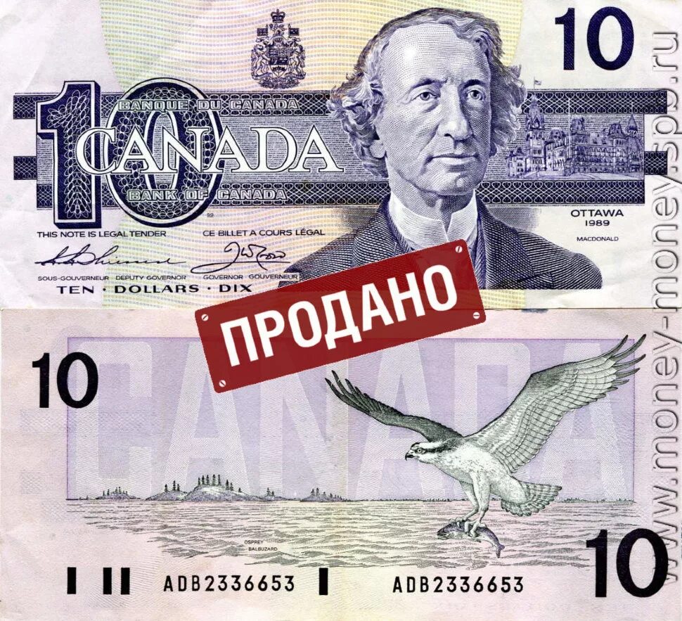 Сколько 10 долларов в рублях на сегодня. Купюры Канады 10 долларов. 10 Долларов банкнота. Канадский доллар 1986. 10 Канадских долларов купюра.