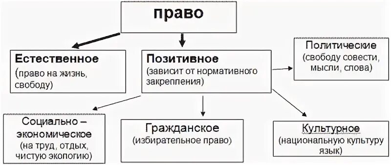 Позитивное право и естественное право различия