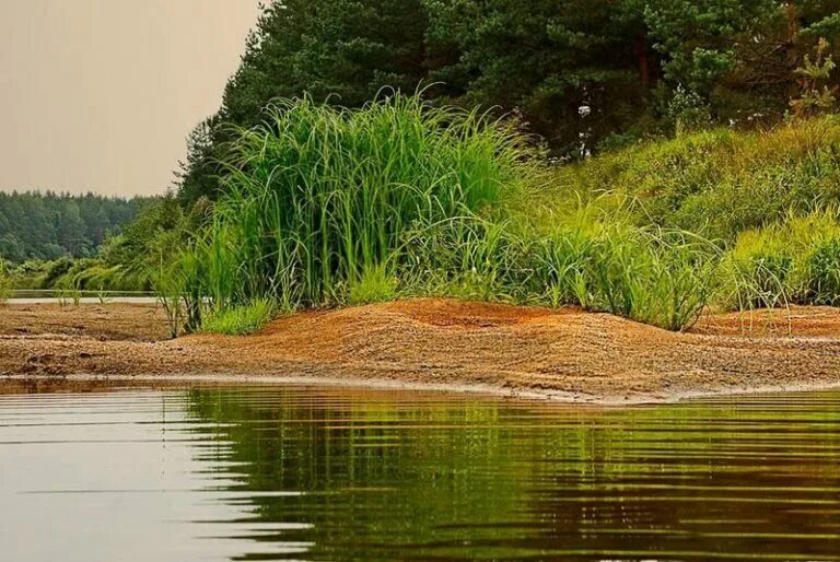 Пляж на речке. Пляж баунти волгоград. Берег реки. Остров моховатый кострома. Пустынный балаково.
