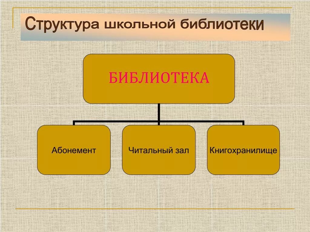 Система управления библиотекой. Структура библиотеки. Структура подразделений библиотеки. Организационная структура библиотеки. Иерархия библиотеки.