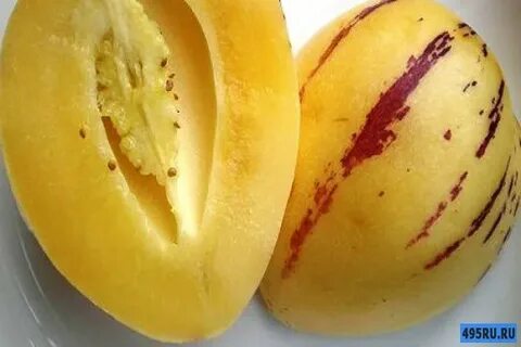 Фиалковая дыня