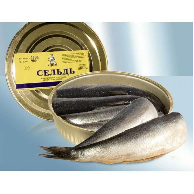 сельдь в банках жестяных. сельдь иваси пряного посола в жестяной банке. сельдь атлантическая в банке. сельдь томилинская 500 г. сельдь в жестяной банке.
