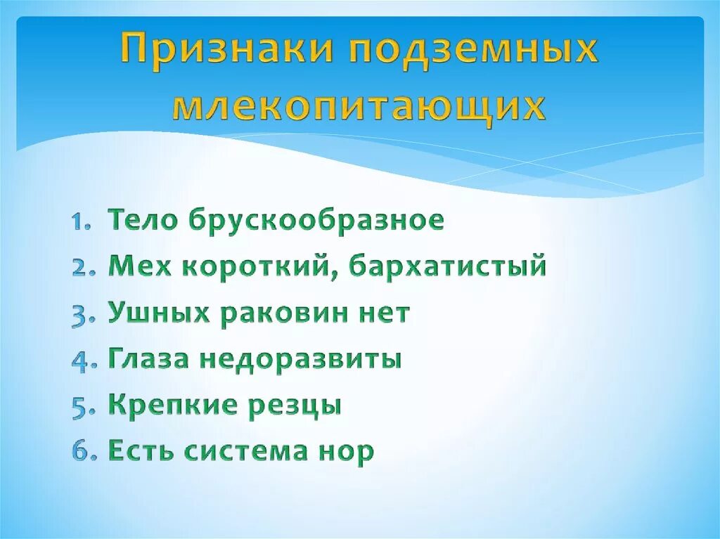 Признаки подземных млекопитающих. Общие признаки млекопитающих. Признаки млекопитающих животных. Подземные животные признаки.