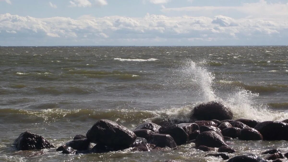 Температура в балтийском море август
