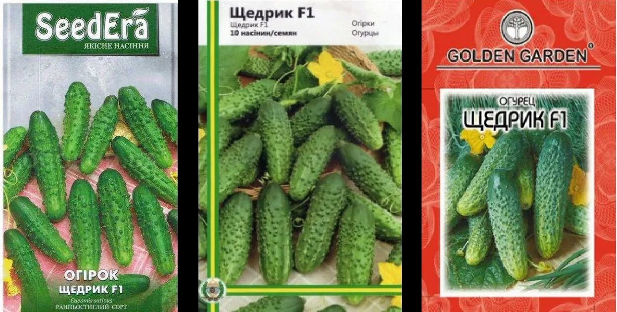 Огурец щедрик гавриш. Огурец щедрик f1 250шт, пикуль. Огурцы щедрик фото. Огурец щедрик гавриш. Гавриш огурец щедрик f1.