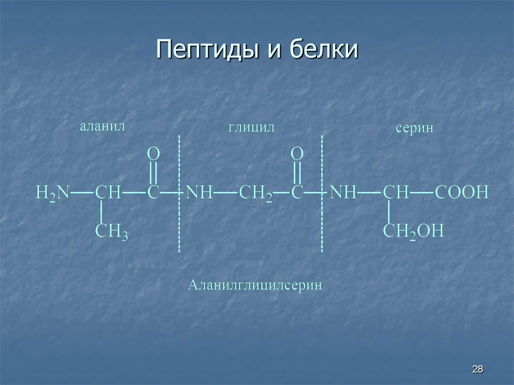 Полипептид это белок. Серин пептид. Пептиды и белки. Пептид это белок. Аланил пептид.