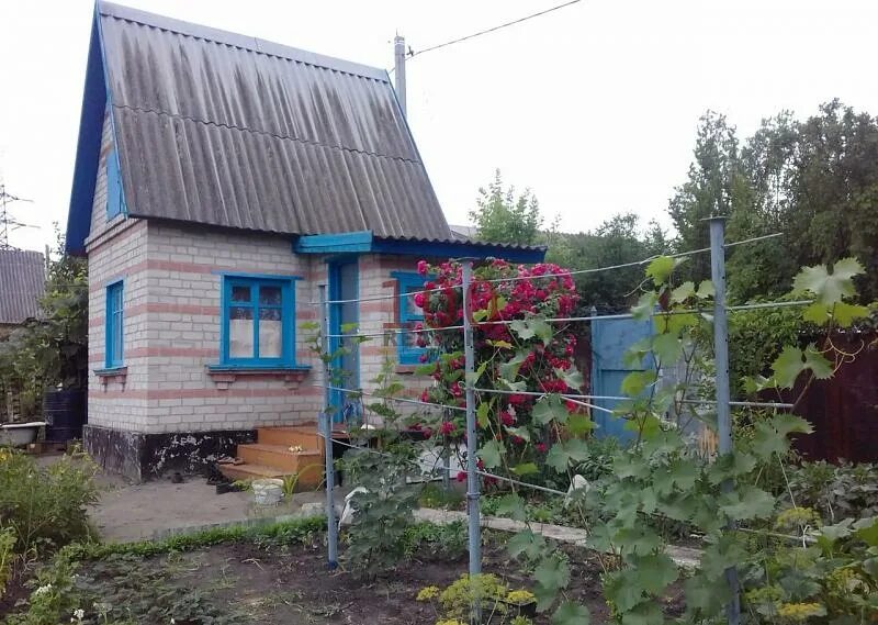 Дача семилуки воронежская область. Фото семилуки воронежская область. Снт ведуга снт ведуга. Фото семилуки воронежская область. Снт ведуга снт ведуга.