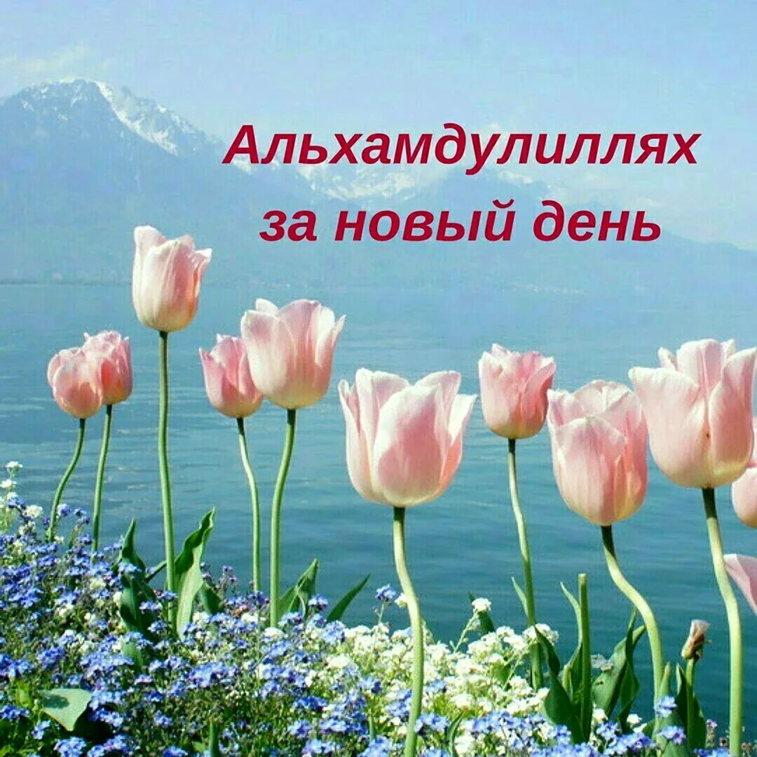 АЛЬХАМДУЛИЛЛЯХ, ПРЕКРАСНЫЙ ДЕНЬ И ПРЕКРАСНОЕ ПОЖЕЛАНИЕ 2019 МУСУЛЬМАНСКАЯ ШКОЛА 