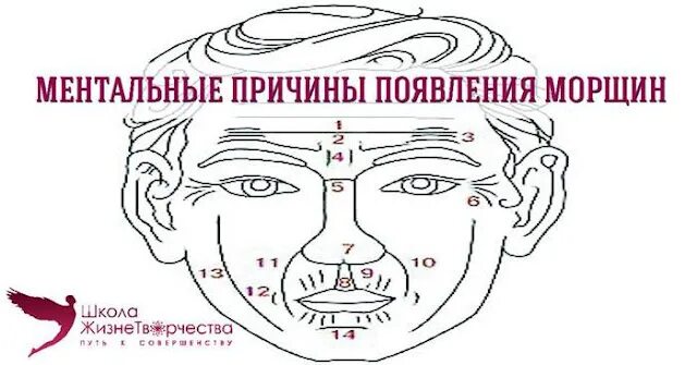 Ментальные нарушения реабилитация. Ментальные причины появления морщин. Ментальные причины. Ментальные проявления человека. Ментальное расстройство.