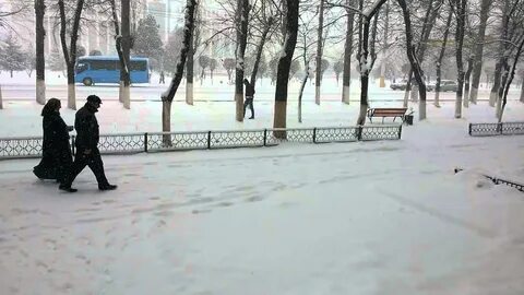 Какая погода в таразе