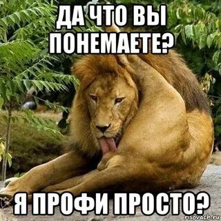 Понимать или понемать