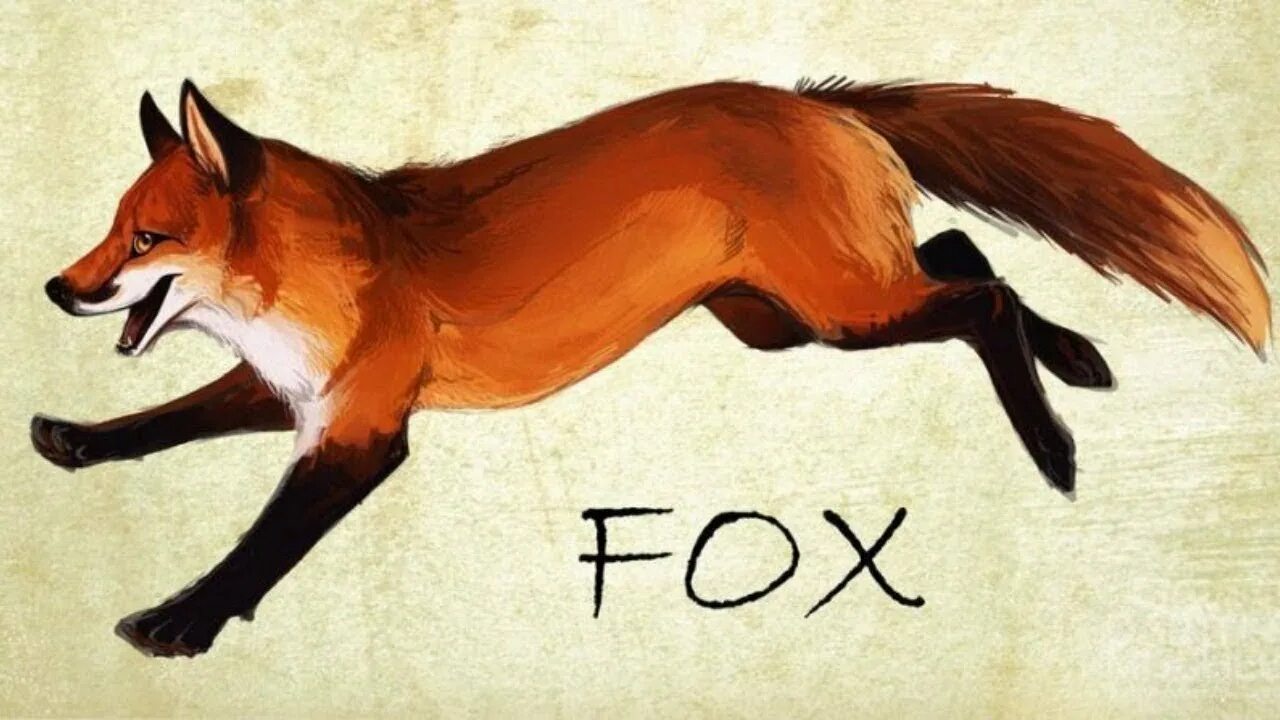 Foxes youtube. Лиса рисунок. Лисица арт. Лиса мультяшная. Баннер с лисой.