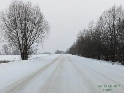 Дорога лыткарино
