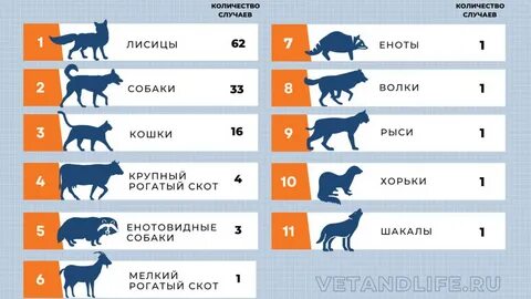 Сколько животных получили имена благодаря активному гражданину