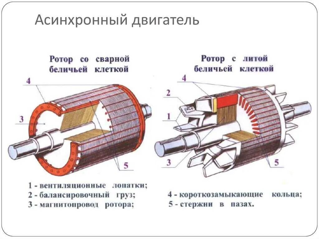 Ротор числа. Схема ротора электродвигателя переменного тока. статор асинхронного электродвигателя схема. устройство ротора асинхронного двигателя с короткозамкнутым ротором. статор ротор сердечник статора.