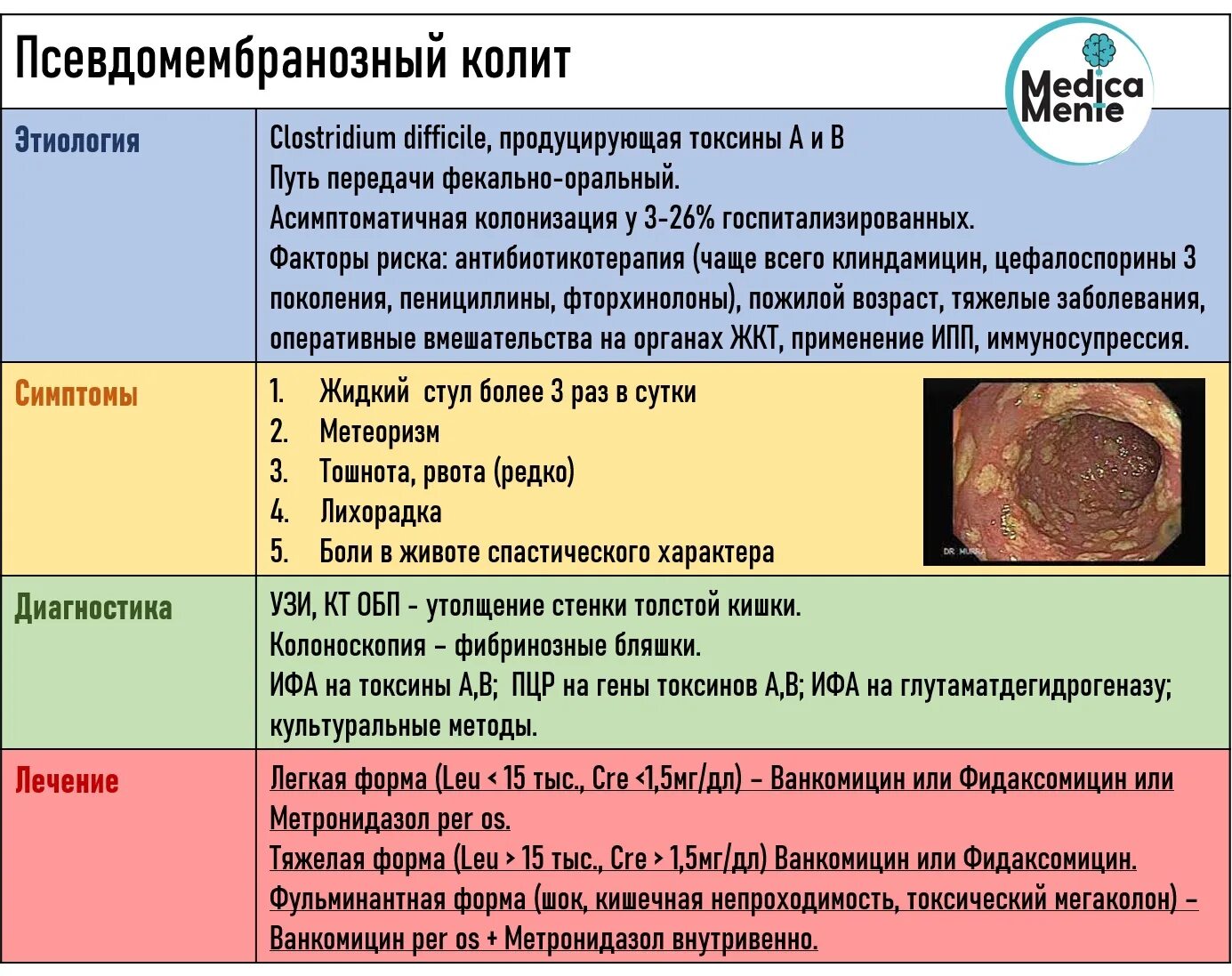 Колит какие таблетки. Псевдомембранозный колит. Диета при псевдомембранозном колите. Псевдомембранозный язвенный колит. Псевдомембранозный колит кал.