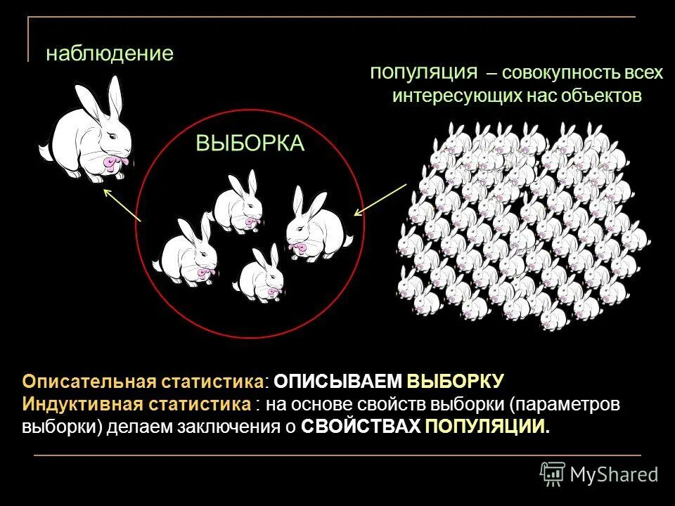 Популяция человека процессы. Популяция это. Популяция и выборка. Популяция и выборка в статистике. Совокупность популяций.