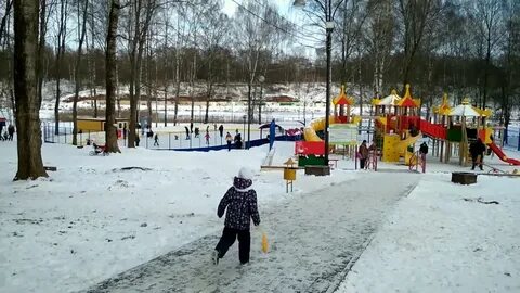Сестрорецком парке клина