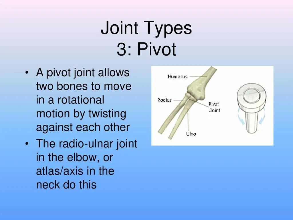 Pivot Joint. Pivot in Joint. Pivot Joint Design. Pivot Joint where.