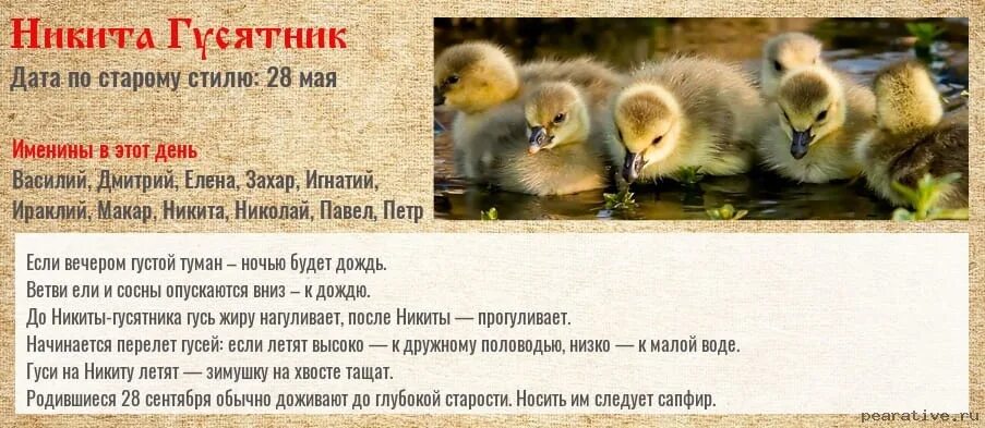 Народные приметы на 28 сентября. Народные приметы на 28 сентября