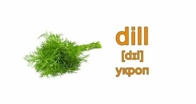 Dill перевод. Укроп на английском. Травы на английском с транскрипцией. Карточки овощи укроп на английском языке. Укроп перевод.