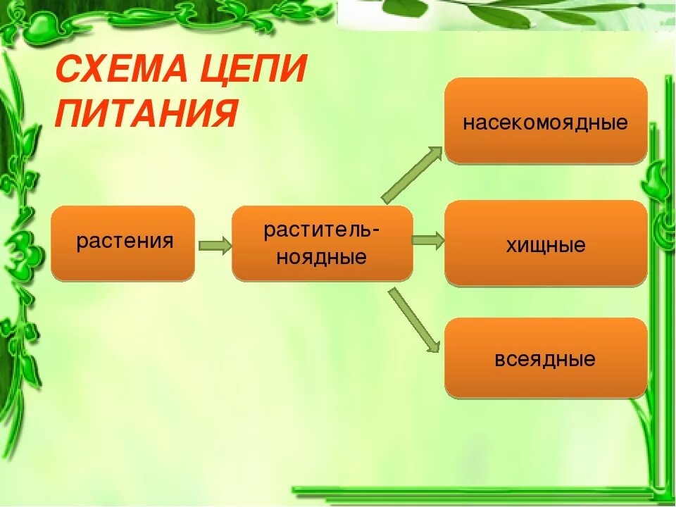 Составить цепи питания окружающий мир. Растительная цепь питания. Цепи питания 3 класс. Цепочка питания растений. Цепочки питания растительные.