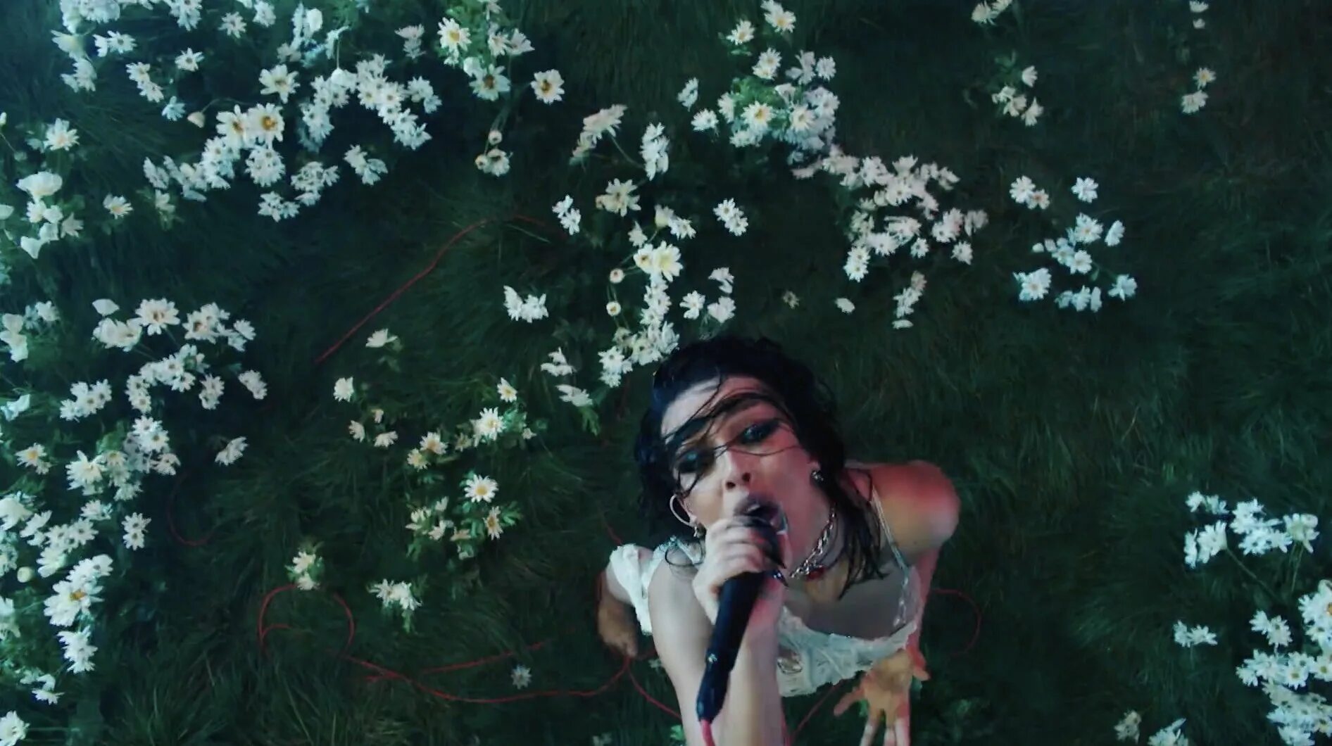 Get into it doja. Doja 2025. doja cat эстетика. doja cat фото. doja cat кошка.