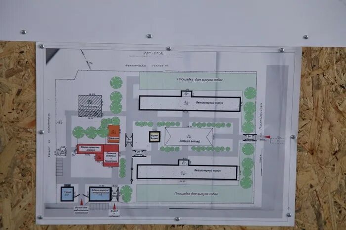 Организация приюта для бездомных животных проект