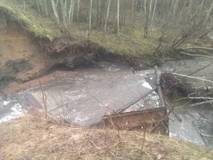 В прорыве дамбы виноваты грызуны