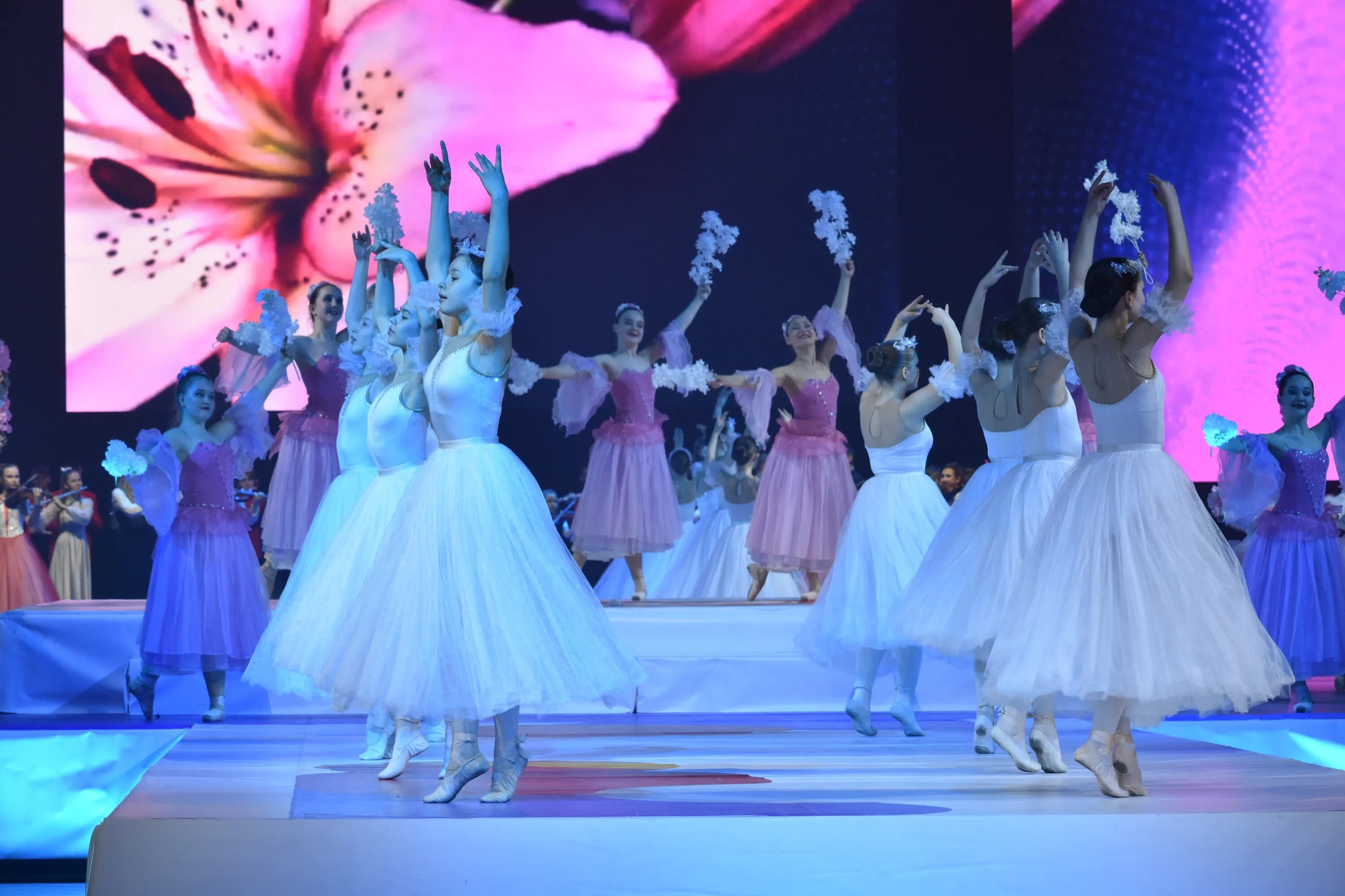 елка главы чувашии 2023