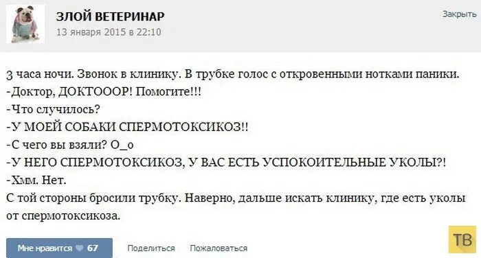 Спермотоксикоз у женщин. Спермотоксикоз картинки. Спермотоксикоз головного мозга. Спермотоксикоз у женщин. Спермотоксикоз мем.