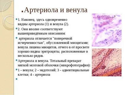 Артериолы
