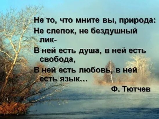 Есть в ней и что. Не то что мните вы природа. стих в ней есть душа в ней есть свобода. что мните вы природа тютчев. стих тютчева не то что мните вы природа.