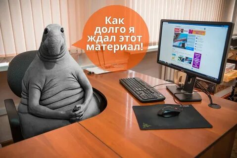 День жду 2024