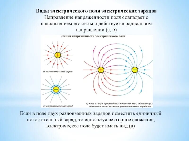 Электрический заряд какие виды. Электрическое поле двух разноименных зарядов. Эл поле для разноименных зарядов. Направление линий напряженности электрического поля. Виды электрических полей.