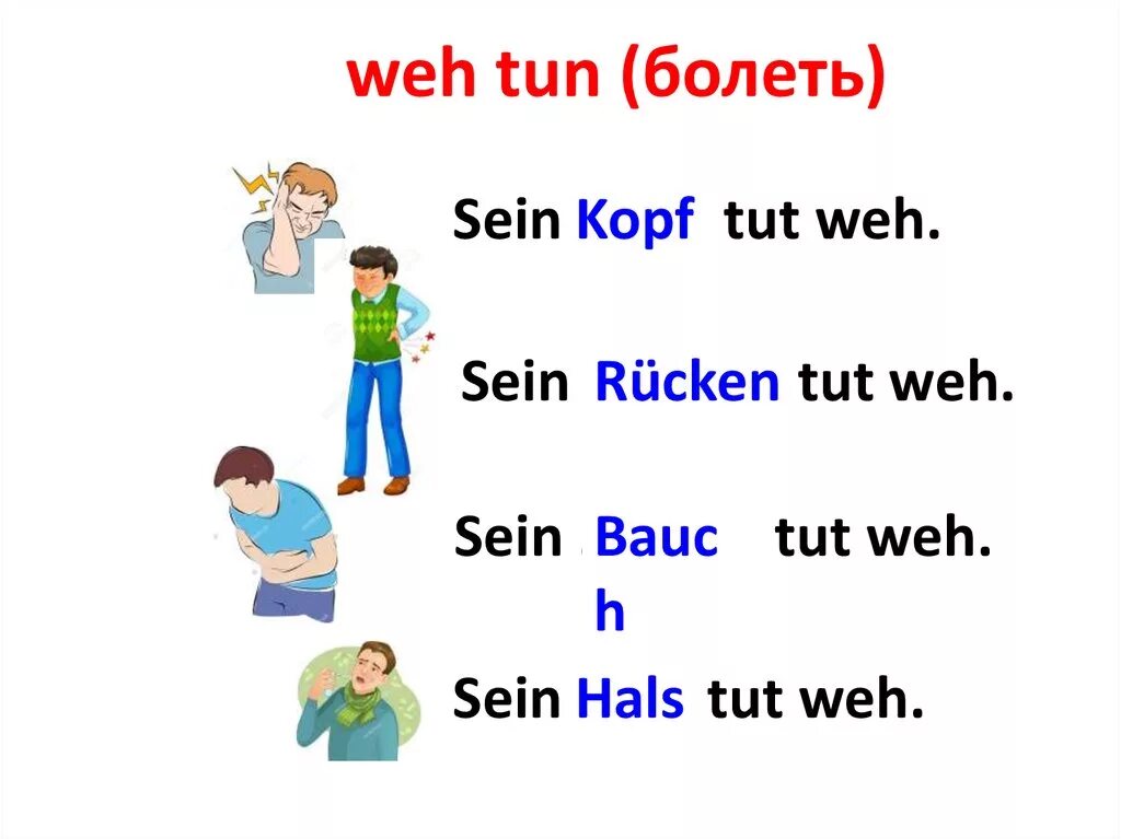 Tut weh. Части тела на немецком языке задания. Части тела по немецки. Части тела немецкий язык 6 класс. Немецкий части тела на немецком.