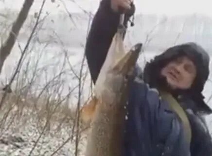 Аня щук видео