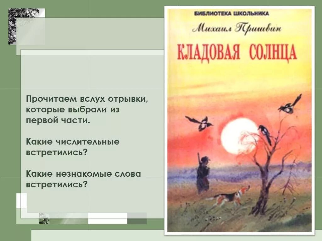 Пришвин м.м. "кладовая солнца". Изложение м. м пришвин кладовая солнца. Кладовая солнца иллюстрации. Изложение кладовая солнца пришвин.