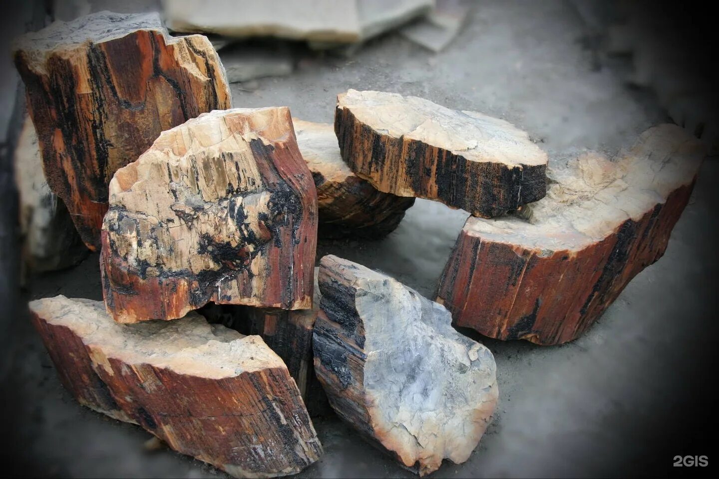 Особый камень. Особый камень. Особый камень. Окаменелое дерево камень валун глыбу. Диабаз фиолетовый.